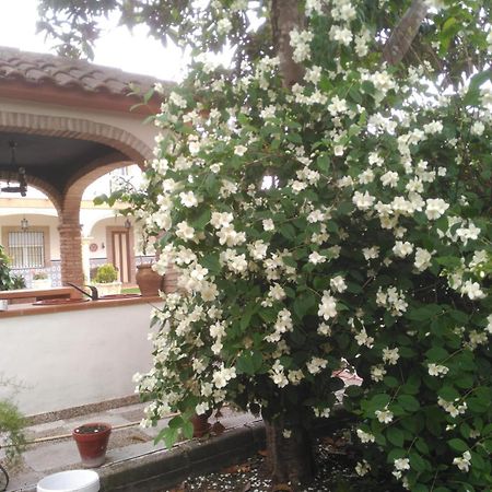 바에자 Vivienda Turistica Rural Mari Carmen 빌라 외부 사진